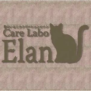 猫のいるリラクゼーションCare Labo Elan